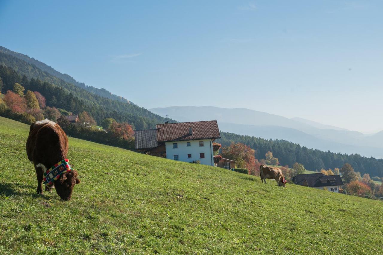 Oberbaumgartnerhof Villa Falzes Exterior photo